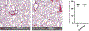 Extended Data Fig. 4