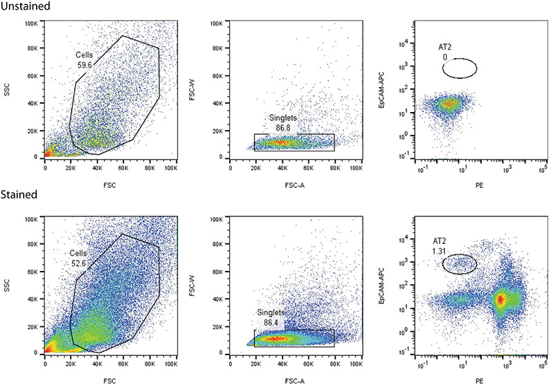 Extended Data Fig. 1