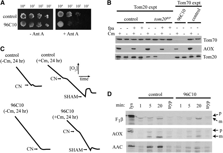 Figure 4 