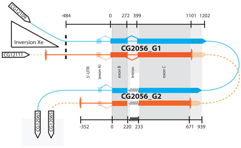 Fig. 2