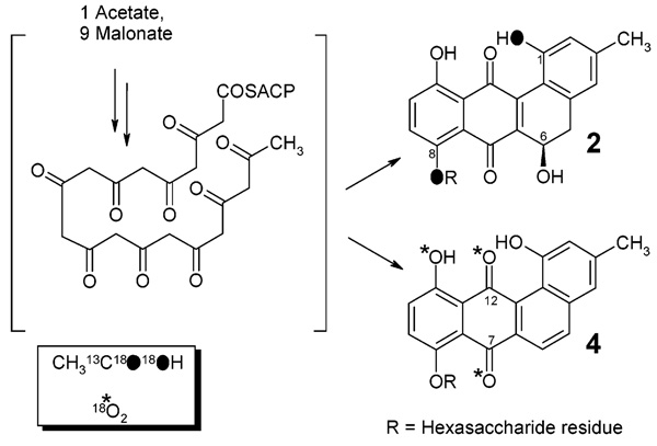 SCHEME 2