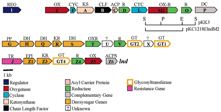 FIGURE 1