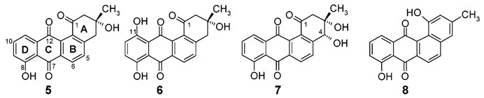 SCHEME 3