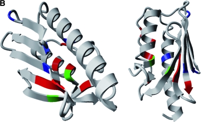 FIG. 6.