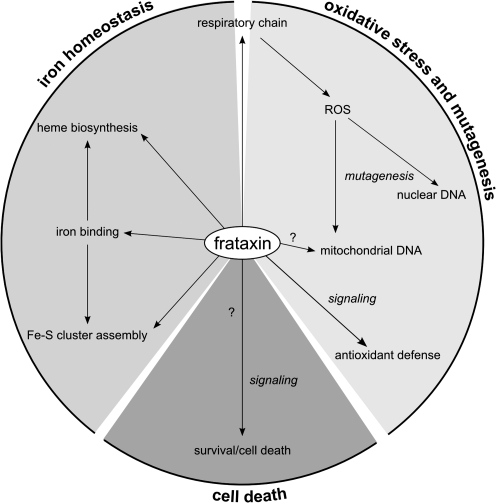 FIG. 15.