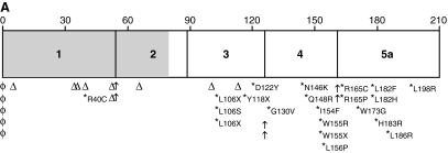 FIG. 6.