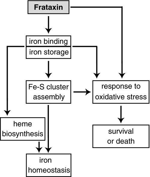 FIG. 9.