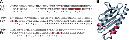 FIG. 11.