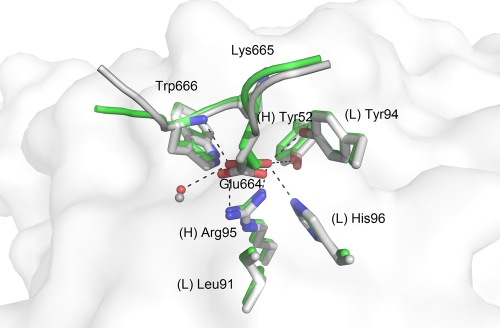 FIG. 2.