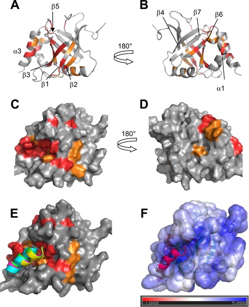 Figure 6.