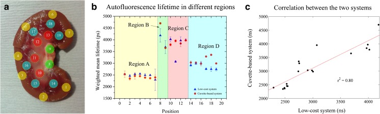 Fig. 8