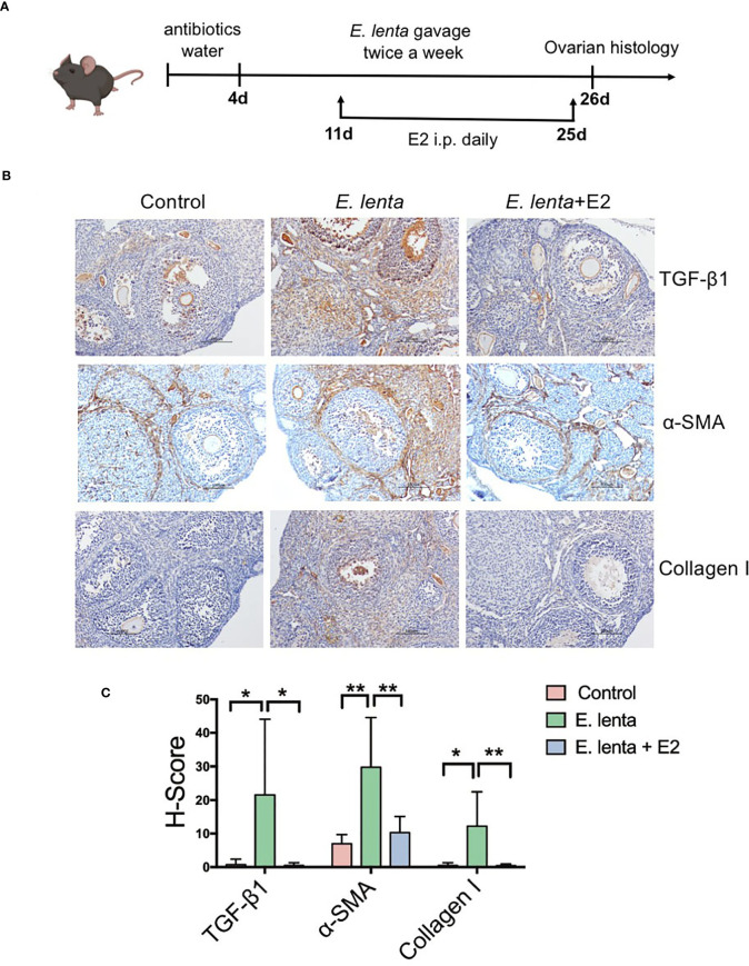 Figure 6