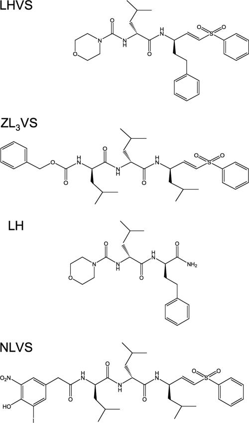 FIG. 3.