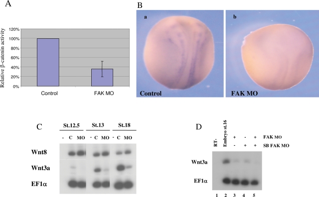 FIGURE 7: