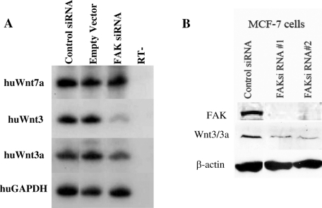 FIGURE 9: