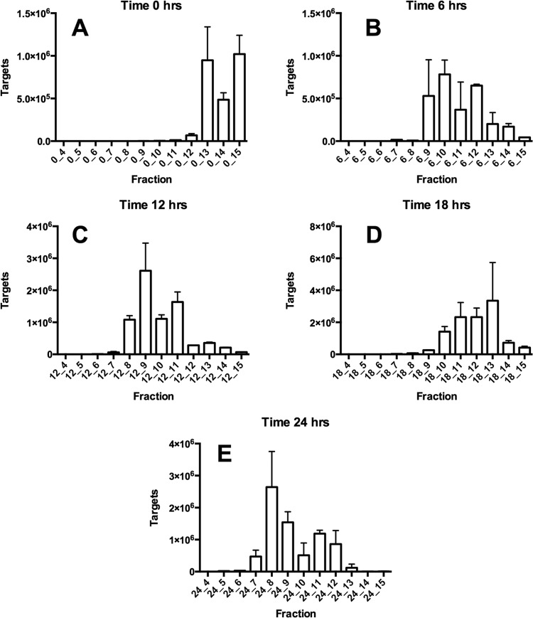 FIG 3