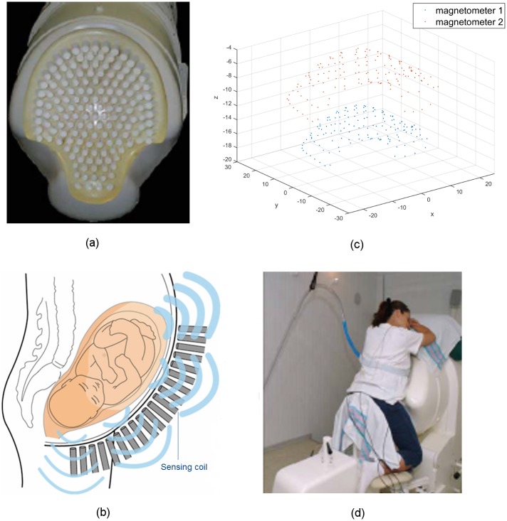 Fig 1