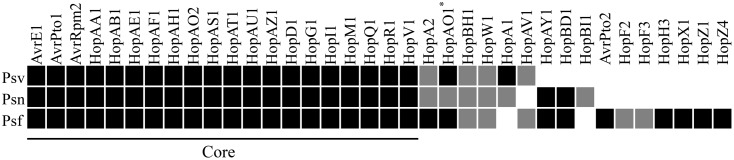 FIGURE 3