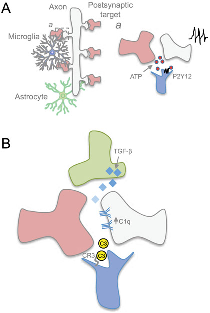 Figure 4.