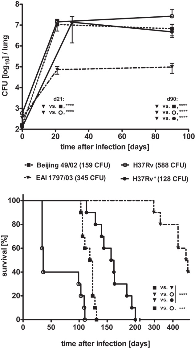 FIG 6 