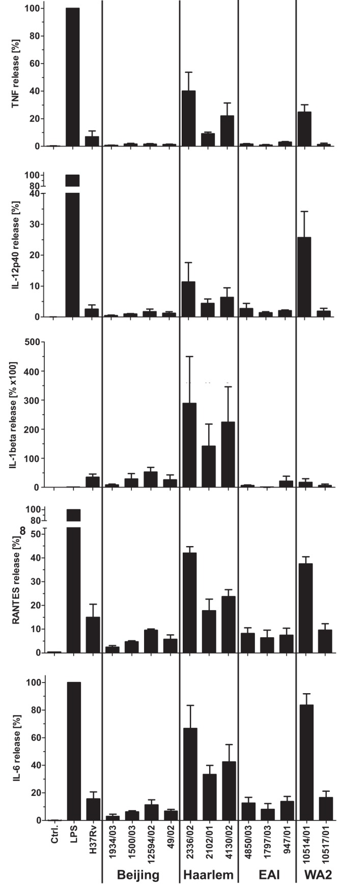 FIG 1 