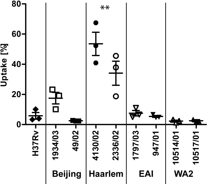 FIG 2 