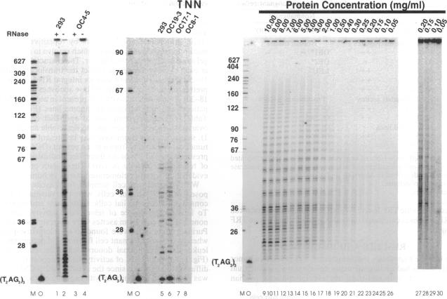 graphic file with name pnas01130-0032-a.jpg