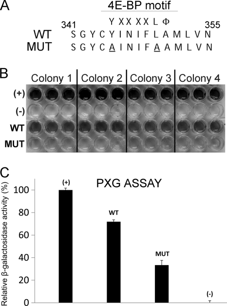 Fig. 5.