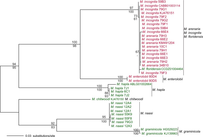 Fig 3