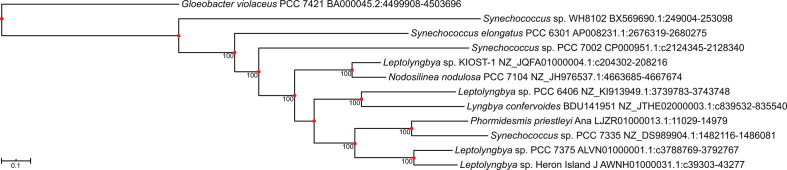 Fig. 7.