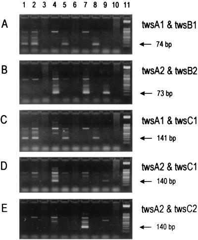 FIG. 6