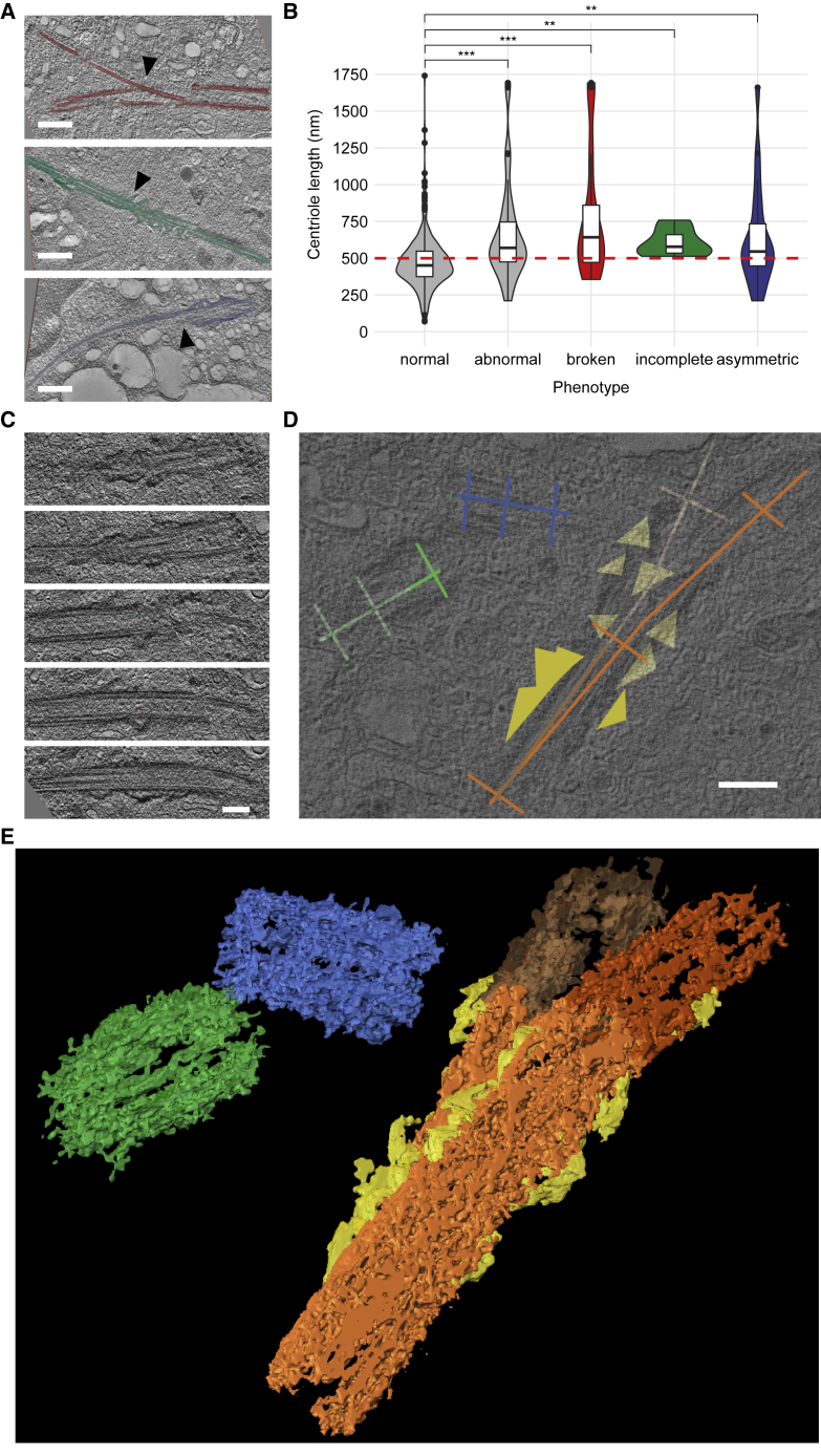 Figure 3