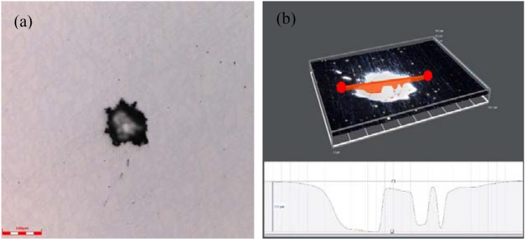 Figure 10