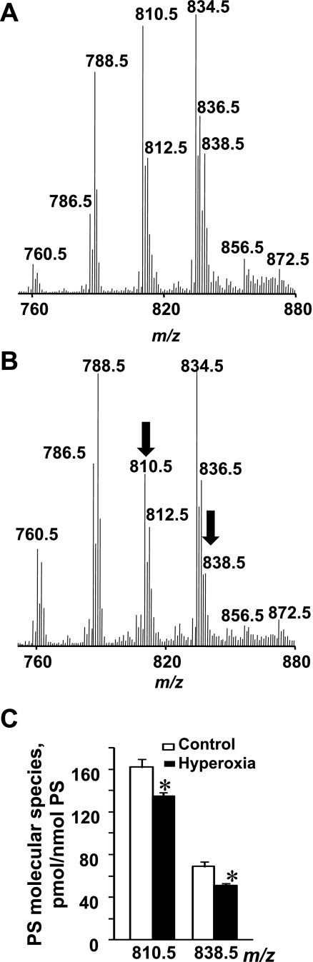 Fig. 3.