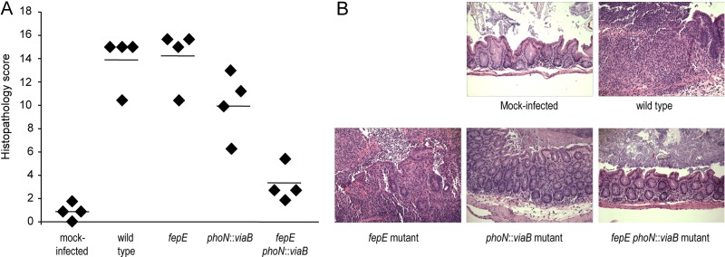 FIG 4 