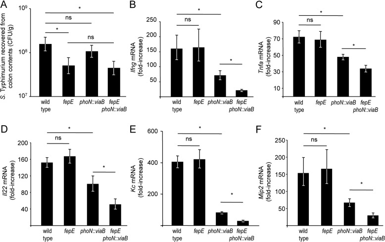 FIG 3 