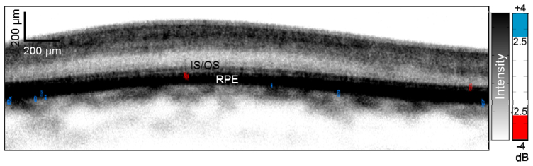 Fig. 8