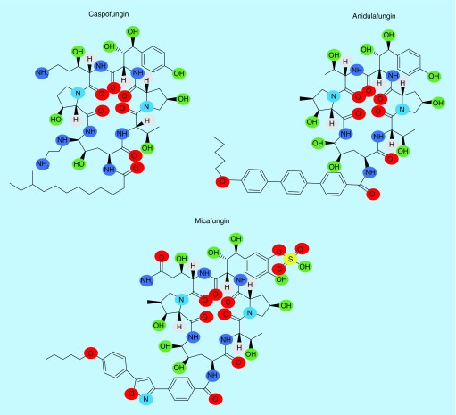 Figure 2. 