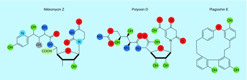 Figure 3. 