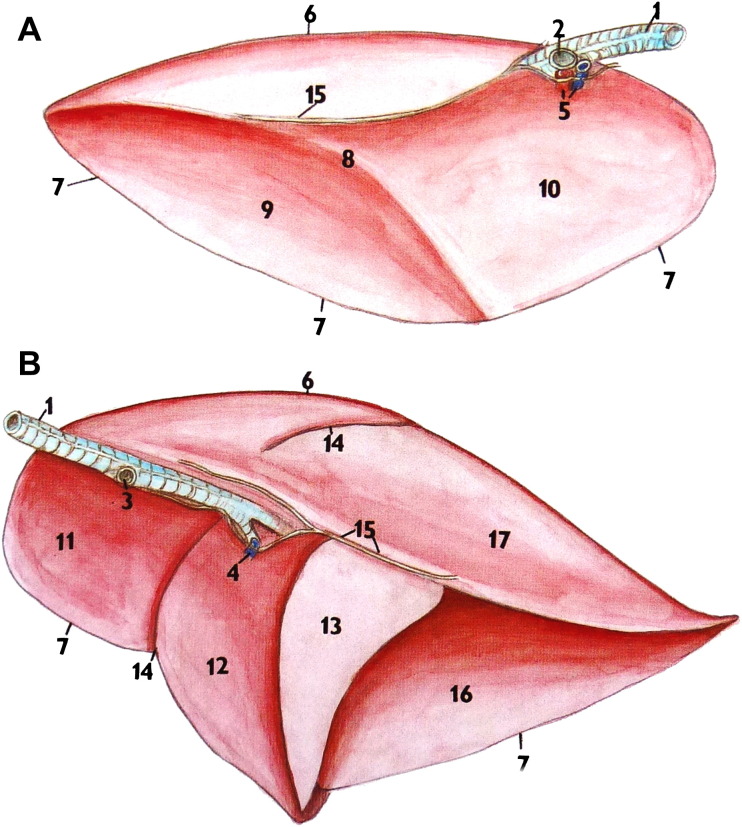 Fig. 2