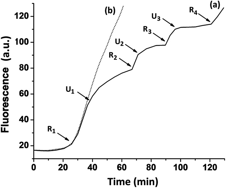 Fig. 5