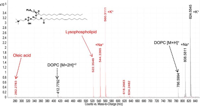 Fig. 8.