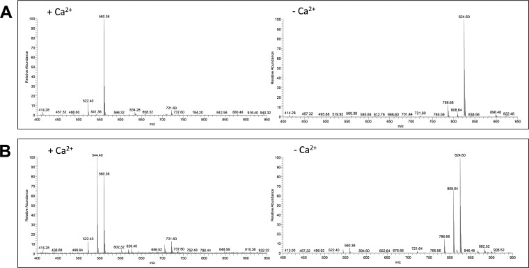 Fig. 10.