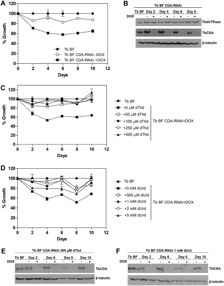 FIG 2