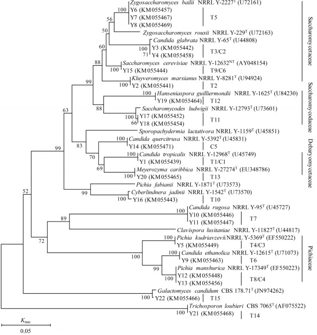 Figure 5