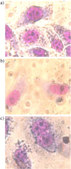 Fig. 8