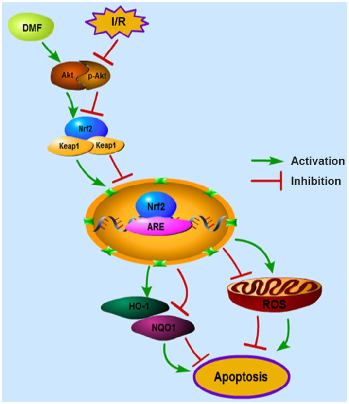 Figure 6.