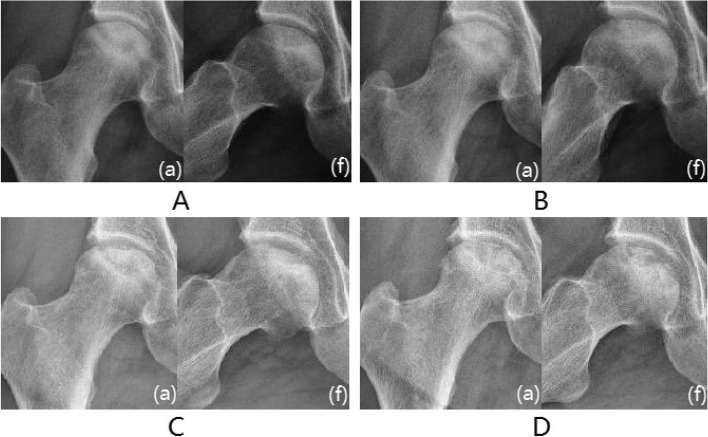 Fig. 5