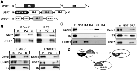 Figure 2.