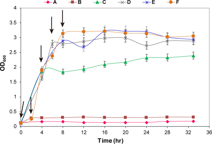 FIGURE 6